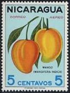 Colnect-3704-924-Mango.jpg