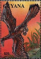 Colnect-1667-413-Archaeopteryx.jpg