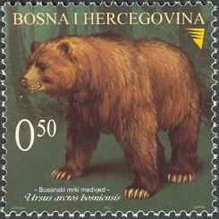 Colnect-1173-449-Bosnian-Brown-Bear-Ursus-arctos-bosniensis.jpg