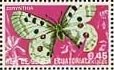 Colnect-1256-980-Festoon-Butterfly-Zerynthia-sp.jpg