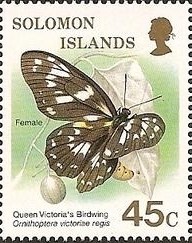 Colnect-1401-715-Queen-Victoria--s-Birdwing-Ornithoptera-victoriae.jpg