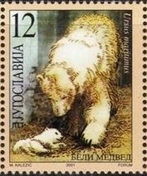 Colnect-1886-821-Polar-Bear-Ursus-maritimus.jpg