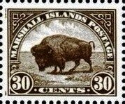 Colnect-6004-610-American-Bison-Bison-or-Buffalo-Bison-bison.jpg