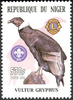 Colnect-1618-073-Andean-Condor-Vultur-gryphus.jpg