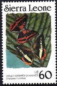 Colnect-2556-388-Violet-washed-Charaxes-Charaxes-lucretius.jpg