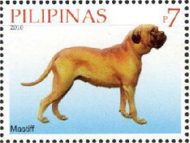 Colnect-2854-055-Mastiff-Canis-lupus-familiaris.jpg