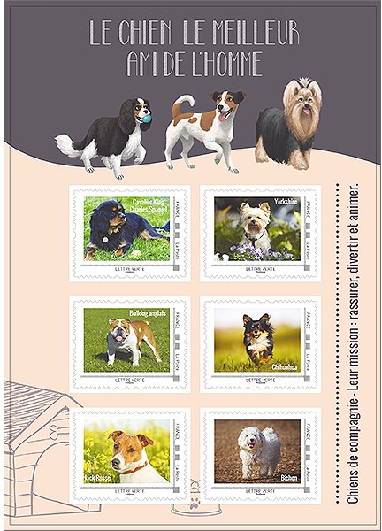 Colnect-3148-429-Companion-dogs.jpg