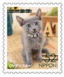 Colnect-3531-003-Russian-Blue-Cat-Felis-Silvestris-Catus.jpg