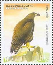 Colnect-1109-146-Tawny-Eagle%C2%A0Aquila-rapax.jpg