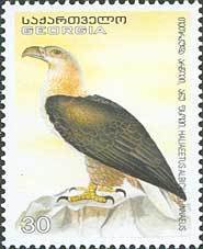 Colnect-1109-147-White-tailed-Eagle%C2%A0Haliaeetus-albicilla.jpg