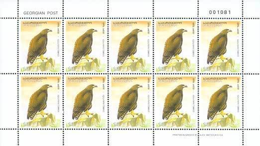 Colnect-1109-150-Tawny-Eagle%C2%A0Aquila-rapax.jpg