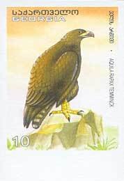 Colnect-1109-154-Tawny-Eagle%C2%A0Aquila-rapax.jpg