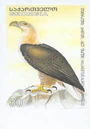 Colnect-1109-155-White-tailed-Eagle%C2%A0Haliaeetus-albicilla.jpg