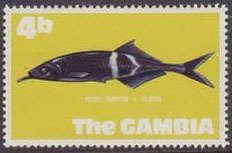 Colnect-1653-529-Elephantnose-Fish-Gnathonemus-petersii-.jpg
