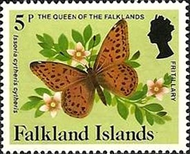 Colnect-1723-928-Queen-of-the-Falklands-Fritillary-Issoria-cytheris-cytheris.jpg