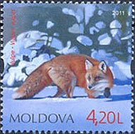 Colnect-802-061-Red-Fox-Vulpes-vulpes.jpg