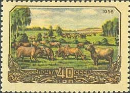 Colnect-474-021-Cow-herd-on-a-pasture.jpg