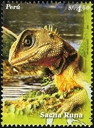 Colnect-1572-147-Green-Iguana-Iguana-iguana.jpg