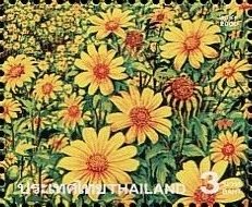 Colnect-4561-571-Flowers-in-the-Bua-Tong-Meadow.jpg