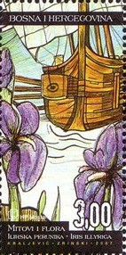Colnect-816-209-Iris-illyrica.jpg