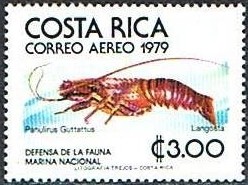 Colnect-1137-541-Spotted-Spiny-Lobster-Palinurus-guttattus.jpg