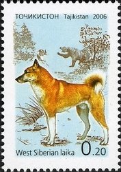 Colnect-1739-166-West-Siberian-Laika-Canis-lupus-familiaris.jpg