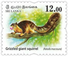 Colnect-4978-111-Grizzled-Giant-Squirrel.jpg