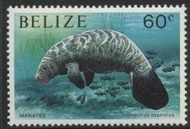 Colnect-1705-033-West-Indian-Manatee-Trichechus-manatus.jpg