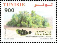 Colnect-4191-137-The-Olive-Tree-Lakarit.jpg
