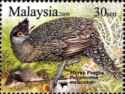Colnect-1435-717-Malaysian-Peacock-pheasant-Polyplectron-malacense-.jpg