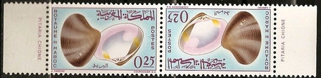 Colnect-1894-691-Pitaria-chione.jpg