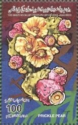 Colnect-5476-495-Prickly-pears.jpg