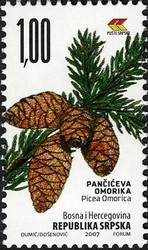 Colnect-588-510-Picea-omrica.jpg