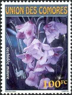 Colnect-6055-829-Purple-Orchid.jpg