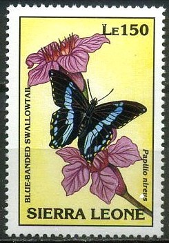 Colnect-2556-414-Green-banded-Swallowtail-Papilio-nireus.jpg