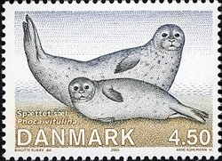 Colnect-431-034-Common-Seal-Phoca-vitulina.jpg