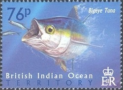 Colnect-1425-771-Bigeye-Tuna-Thunnus-obesus-.jpg