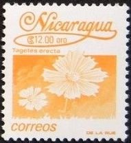 Colnect-4790-842-Tagetes-erecta.jpg