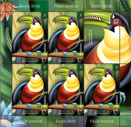 Colnect-6173-085-Red-Breasted-Toucan-Ramphastos-dicolorus.jpg