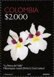 Colnect-1701-306-Queen-of-the-Valley-Miltoniopsis-roezlii.jpg