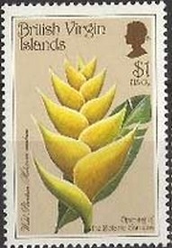 Colnect-3069-261-Wild-plantain.jpg