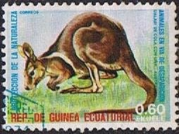 Colnect-862-013-Brush-tailed-Rock-wallaby-Petrogale-penicillata-.jpg