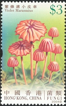 Colnect-518-503-Fungi---Violet-Marasmius.jpg