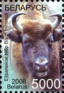 Belarus_stamp_2008_5000R_European_Bisons.jpg