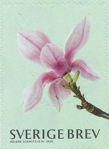 Colnect-2981-022-Magnolia.jpg