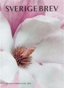 Colnect-2981-024-Magnolia.jpg