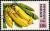 Colnect-2075-025-Bananas.jpg