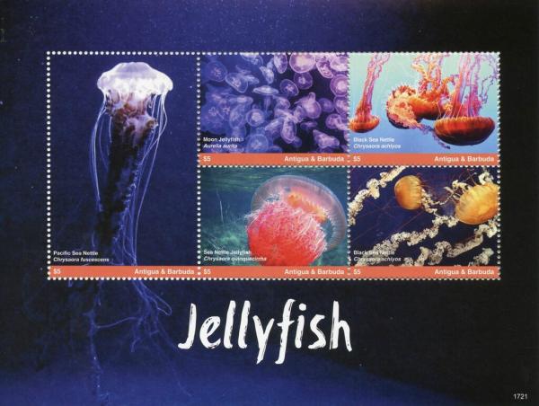 Colnect-6446-202-Jellyfish.jpg