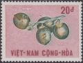 Colnect-1429-006-Areca-nuts.jpg