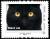Colnect-5518-307-Black-cat.jpg